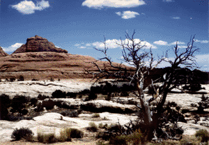 Canyonland