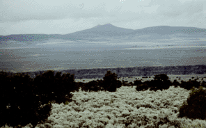 New Mexico
