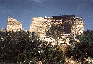 Terlingua