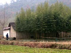 Campagna cinese in Anhui