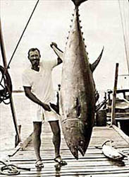 Hemingway - deep sea fishing