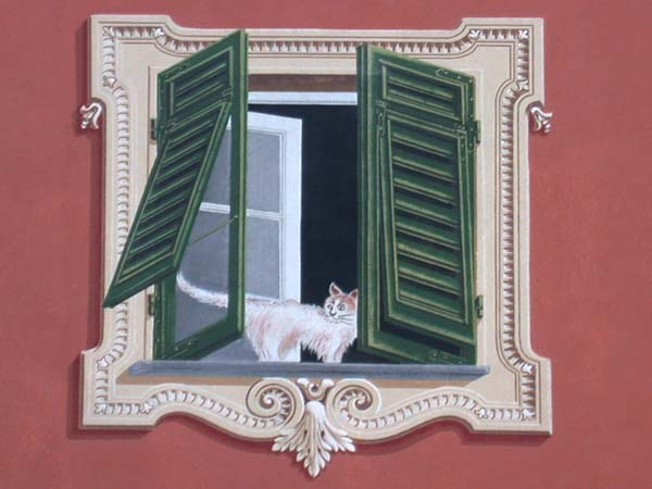 gatto alla finestra