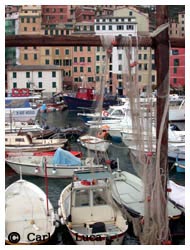 Porticciolo di Camogli