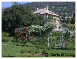 Roseto