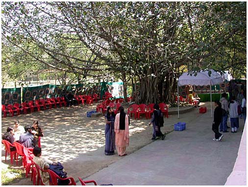 37jnu1512