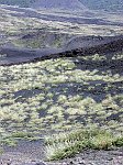 salendo verso l'Etna