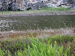 Laguna