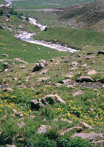The River Po