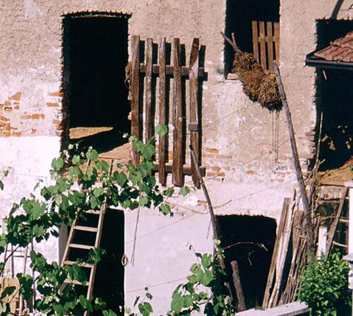 Old farmhouse in Chiusa Pesio