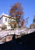 Autunno sul ponte di Sturla